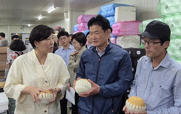 1일 구본권 아산원예농협 조합장(가운데)이 송미령 농림축산식품부 장관(좌측)에게 올해 배 작활 등 수급상황에 대해 설명하고 있다.