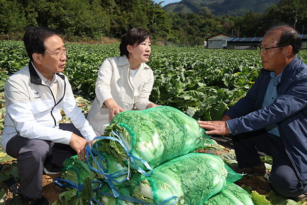 송미령 장관(가운데)이 배추 주산지인 충북 단양군의 한 배추밭을 찾고 관계자들과 동향을 점검하고 있다.