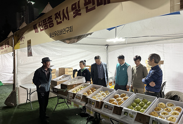 배 신품종 전시 및 판매장 모습.