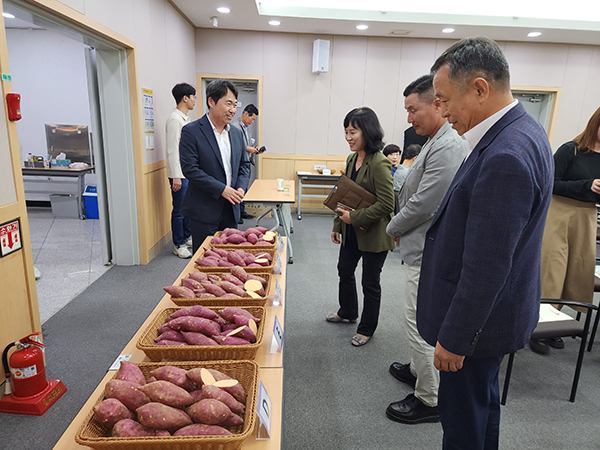 농촌진흥청은 지난 17일 경기도 이천시 농업테마공원에서 신품종 호박고구마 ‘호풍미’를 알리고 보급을 확산하기 위한 시범사업 평가회를 열었다.