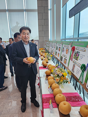 안성구 조합장이 대상을 수상한 배에 대해 생산과정을 설명하고 있다.