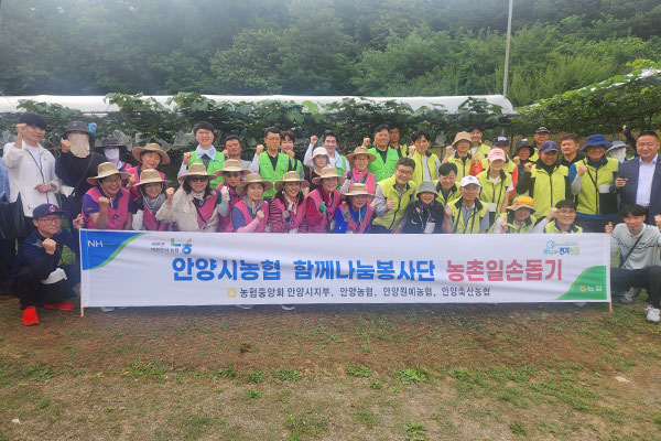 관내 농협 및 안양시 생활개선회와 농촌 일손돕기를 실시한 모습.
