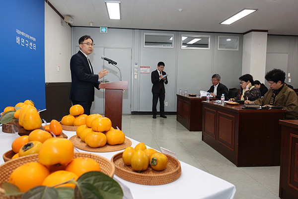 박정관 원예작물부장이 단감 품종에 대해 설명하고 있다.