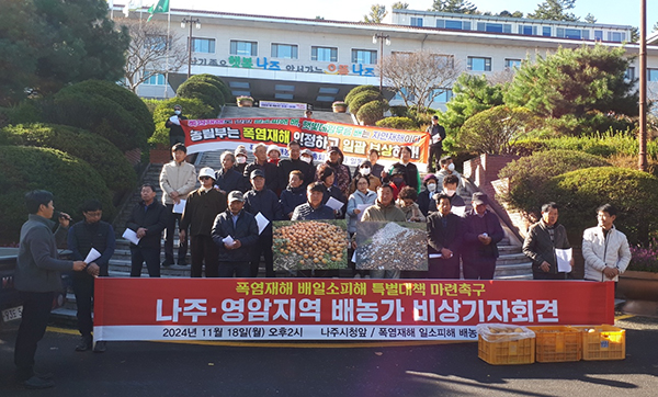 폭염재해 일소피해 배농가 비상대책위원회는 지난 18일 나주시청 앞에서 비상 기자회견을 열고, 정부와 지자체의 신속한 대책 마련을 촉구했다.