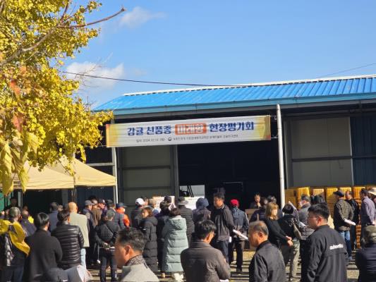 ‘미래향’ 주요 특성을 설명하고 있다.