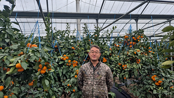 비가림 금상 강남호 농가(서귀포시 남원읍)
