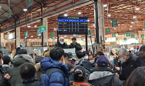 광주원예농협 공판장에서 전자경매가 이뤄지고있다.