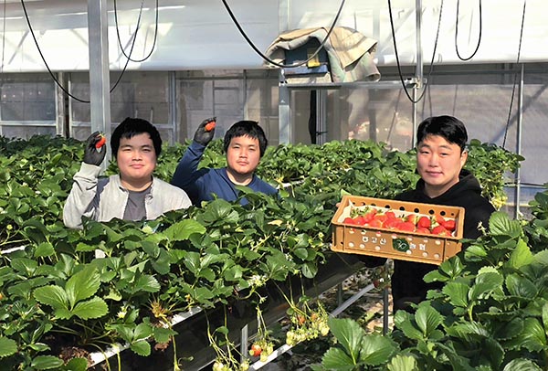 이우진 조합원(우측 첫 번째)이 한국농수산대학교 실습생들과 직접 재배한 딸기를 보여주고 있다.