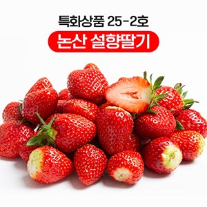 농수산물 온라인도매시장 25-2호 특화상품 ‘논산 딸기’