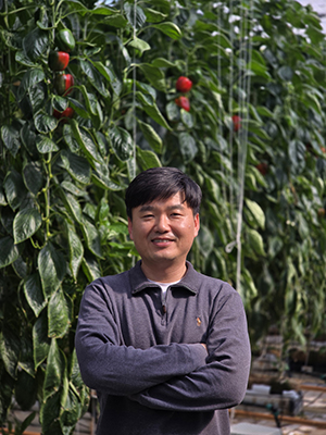 “스마트팜을 활용한 정밀한 환경 제어가 안정적 생산의 핵심입니다.”전남 강진에서 2만 2,500평 규모의 스마트팜을 운영하며 연간 약 1,900톤의 파프리카를 생산하는 김규하 아트팜 대표는 스마트팜 환경제어 기술을 농업 성공의 가장 중요한 요인으로 꼽았다.김 대표가 강조하는 스마트팜 농업의 핵심은 ‘정밀한 환경 제어’다. 그는 “파프리카는 일정한 광량과 적절한 온·습도, CO₂ 농도를 정확히 관리해야만 품질이 균일하고 우수한 결과물을 얻을 수 있다”며 “이를 위해 네덜란드에서 도입한 AI 기반 환경 제어 시스템을 활용하고 있다”고 말했다. 이어 “AI가 온실의 미세한 환경 변화를 즉각 감지하고 대응하기 때문에 품질과 수확량을 동시에 잡을 수 있다”고 덧붙였다.지금은 안정적인 운영이 이뤄지고 있지만, 처음부터 쉬웠던 것은 아니다. 그는 “초창기에는 파프리카 재배 자체가 생소해 어려움이 많았다. 기존 국내 토마토 재배 방식과 비슷한 점은 있었지만, 체계적인 데이터가 부족했고 수확량을 안정적으로 확보하는 것도 쉽지 않았다”며 “이를 극복하기 위해 네덜란드에 직접가서 교육을 받으며 최적의 환경 조절 방식을 익혔고, 이후 네덜란드 컨설턴트와 협력해 월 1회 정기 컨설팅을 받으며 점진적으로 운영 방식을 개선해왔다”고 회고했다. 이어 “지금은 국내에도 컨설팅 업체들이 생겨 국내 전문가들과도 꾸준히 협력하고 있다”고 그는 덧붙였다.지속 가능한 농업과 효율적인 에너지 관리에도 신경 쓰고 있다. 김 대표는 “난방을 기름 대신 전기를 활용한 지열 시스템으로 바꿔 비용을 절감하면서도 온도 관리를 철저히 하고 있다”며 “또한 빗물을 저장해 농업용수로 활용하고, 폐양액을 재활용해 비료 사용량을 최소화하고 있다”고 설명했다.병해충 관리 방식에도 그의 철학이 녹아있다. 김 대표는 “화학 방제는 최소화하고 천적을 활용한 생물적 방제를 기본으로 하고 있다”며 “필요하면 물리적 방제 방식으로 해충을 직접 제거한다”고 설명했다.한편, 김 대표는 최근 일본 시장의 의존도가 지나치게 높은 현실을 지적하며 “일본 경제 침체로 파프리카 수출이 어려워지고 있다”고 우려를 나타냈다. 그는 “최근 미국 시장 진출을 계기를 발판 삼아 신시장 개척이 반드시 필요하다”며 “중국은 경쟁이 치열하고, 동남아는 구매력이 낮아 쉽지 않지만, 중동은 신선 농산물 수입 의존도가 높아 충분히 가능성이 있다”고 강조했다./권성환 bluesky0540@naver.com