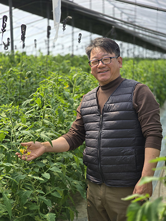 정회경 광주원예농협 조합원이 본인의 농장에서 꽃이 핀 토마토를 보여주고 있다.