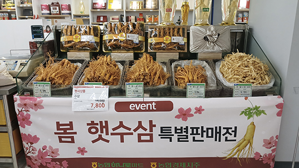 농협경제지주는 지난 3일부터 9일까지 국산 수삼 소비촉진을 위해 봄 햇수삼 할인판매를 실시했다.