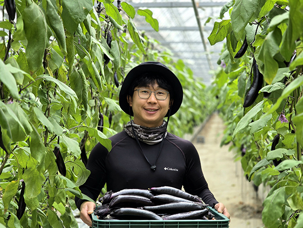 군산원예농협 김찬주 조합원이 직접 재배한 가지를 보이고 있다.