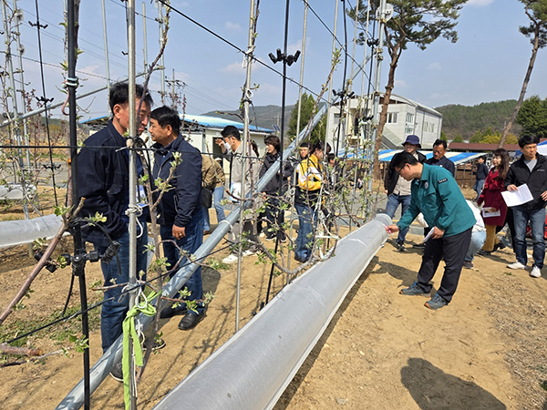 국립원예특작과학원 사과연구센터에서 과수안정생산을 위한 저온 피해 경감시설 현장 연시회를 열었다.