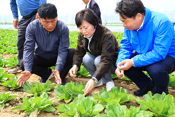 송미령 장관(가운데)이 배추 생육 상황을 보고 있다.