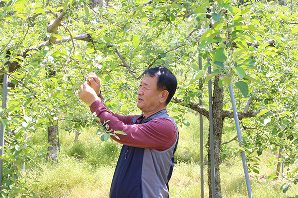 배충열 조합원이 농원을 살피고 있다.