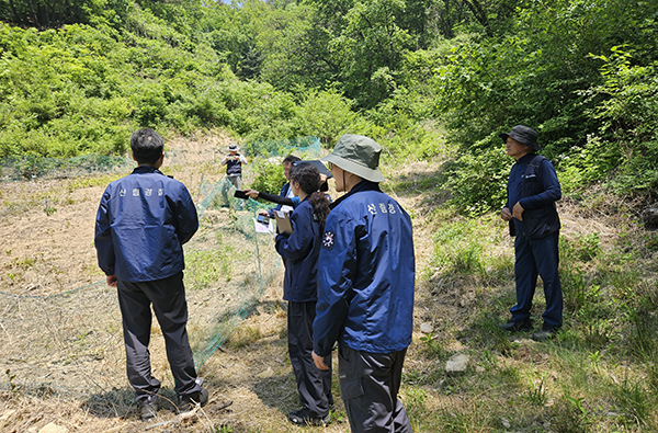 산림내 불법행위 합동단속 모습
