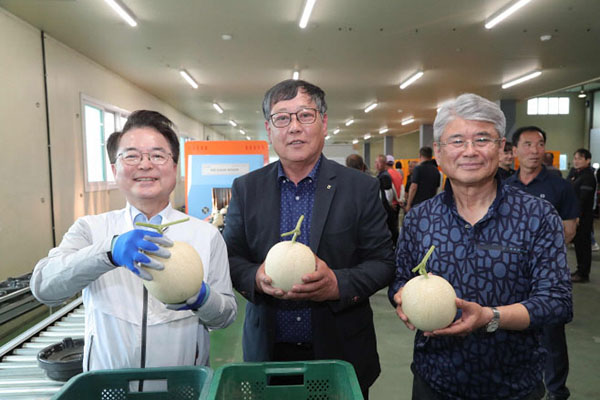 지난 4일 열린 하니원 멜론 출하 기원식에서 육동한 춘천시장과 김순배 춘천원예농협조합장(중간), 이태익 세종바이오대표가 멜론을 선보이고 있다.