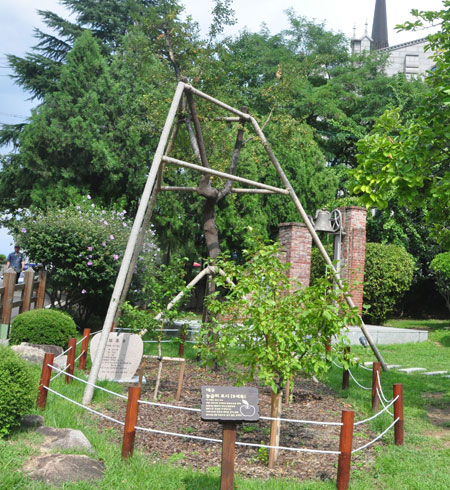 동산의료원 사과